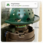 The Frog Fortress: The Ultimate Habitat