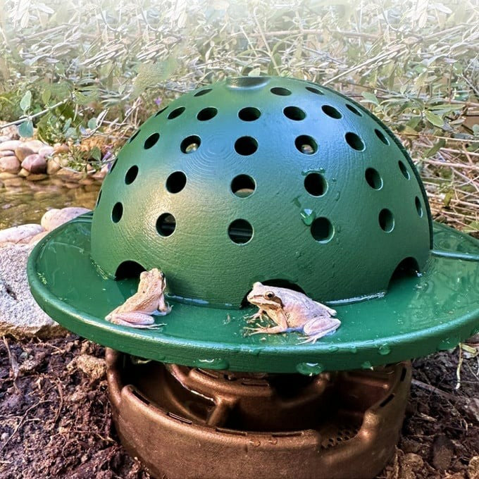 The Frog Fortress: The Ultimate Habitat